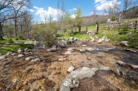 Small stream Stock Photos