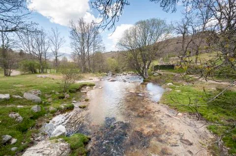 Small stream Stock Photos