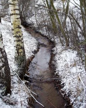 Small Stream Stock Photos