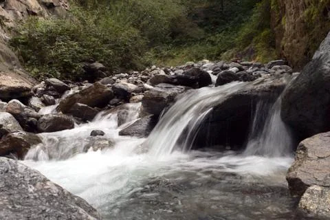 A small stream Stock Photos