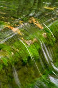 Small stream Stock Photos