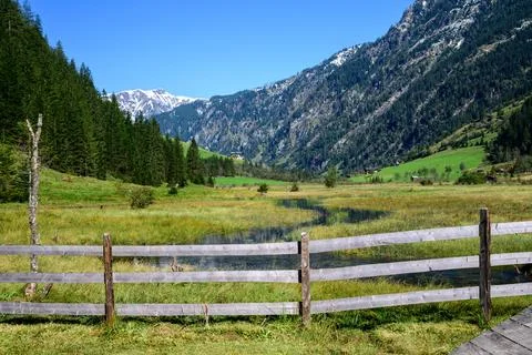 Small Stream Stock Photos