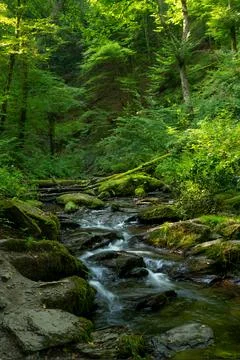 Small stream Stockfoto's