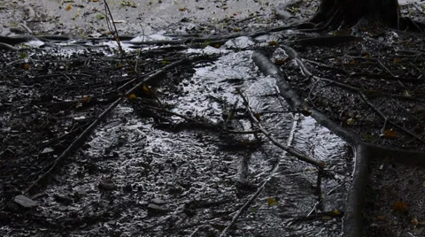 Small stream of rain water Stock Footage 28268317