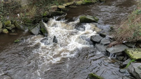 Small stream rapids Stock Footage