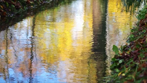 Small stream reflects the forest, sunlight glistens on the water's surface .. Video stock 256288487