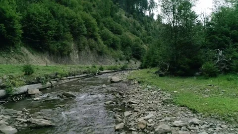 Small stream river with little rocks and pebbles Stock Footage 313355374