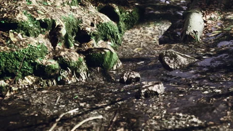 Small stream with rocks and moss in a forested area during the day Stock Footage 340654168