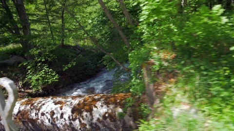 A small stream running down a mountainside in a forest. Vidéo 108844464