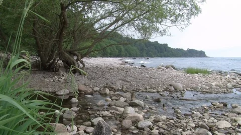 Small stream running into the sea Stock Footage 86357356