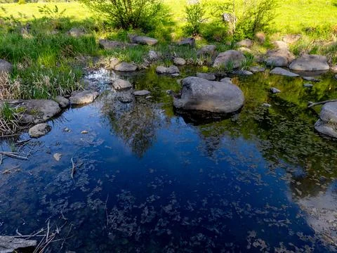 A small stream running through a grassy field with rocks in it Stock Photos