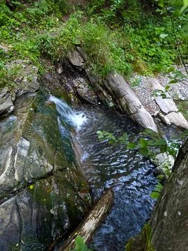 A small stream running through a lush green forest Stock-Fotos