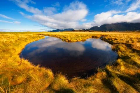 Small stream running through nordic nature on Lofoten islands Stock-Fotos