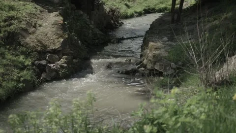 Small stream running through a park Stock Footage 341342358