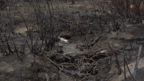 A small stream runs through charred lands in Reno, Nevada Stock Footage 79736403