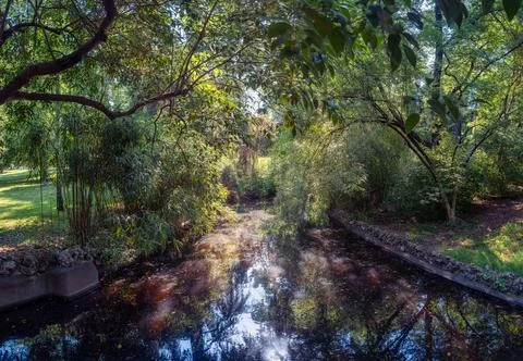 A small stream that runs through the immense Retiro Park in Madrid. 스톡 사진