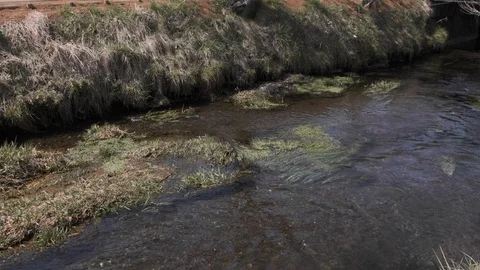 Small Stream In Rural Japan Stock Footage 106719454
