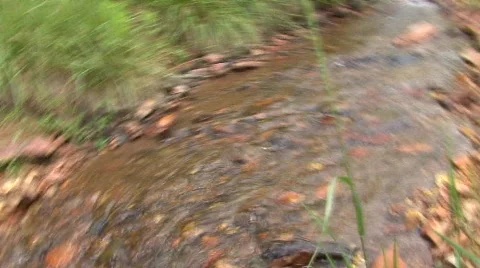 Small stream in Savanha GA 動画素材 108585