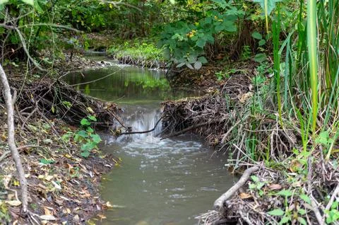 A small stream with a small waterfall Stock Photos