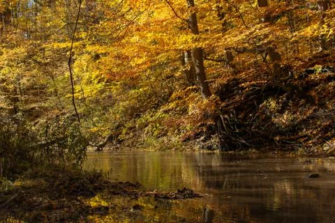 Small Stream on a Sunny Fall Day Stock Photos