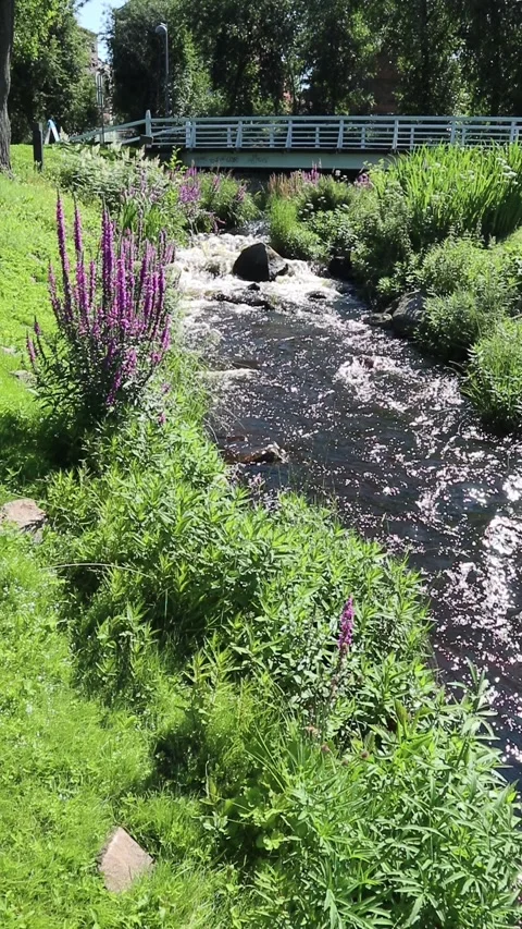 Small stream in sunny public park, Oulu Finland Stock-Footage 280976403