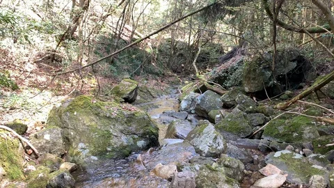 Small stream through moss stone at sasagahara akiragi town local west Japan Stock Footage 107813620