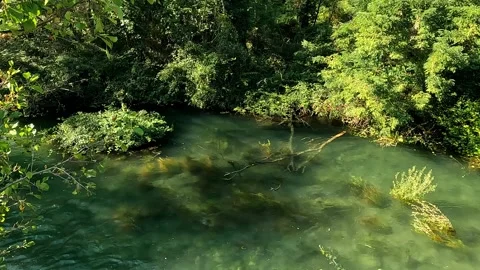 Small stream in Ticino park hidden by vegetation Stock Footage 283168933