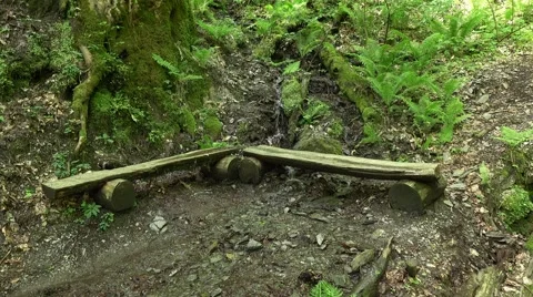 Small stream trickle under wood bench, little creek at forest. Wet ground Stock Footage 63640543