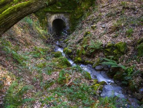 Small Stream under a Mossy Stone Bridge Stock Photos