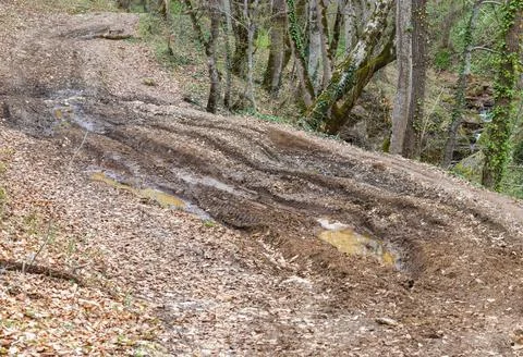 A small stream of water along the bottom of the stream in the middle of sprin Stock Photos