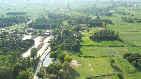 Small stream of water between lush green fields at sunset in village Stock Footage 246972678
