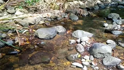 A small stream of water between the rocks of the river 4 Stock Footage 208180183