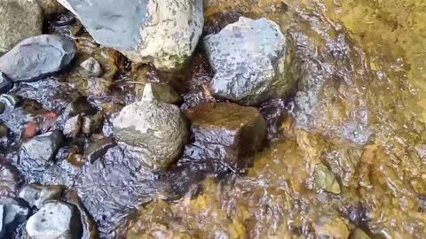 A small stream of water between the rocks of the river 5 Stock Footage 208180184