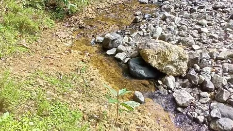 A small stream of water between the rocks of the river 6 Stock Footage 208180369