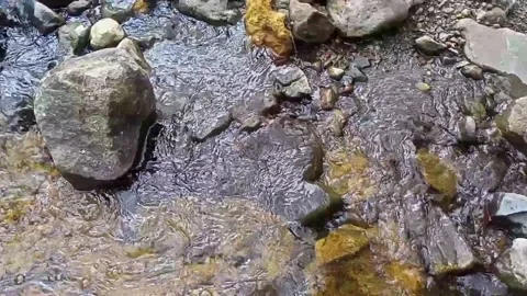 A small stream of water between the rocks of the river 8 Video stock 208180408