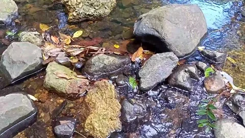 A small stream of water between the rocks of the river 10 Stock Footage 208180886