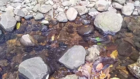 A small stream of water between the rocks of the river 12 Stock Footage 208180915