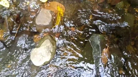 A small stream of water between the rocks of the river 16 Stock Footage 208181261