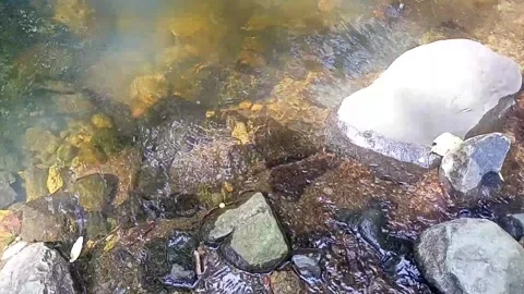 A small stream of water between the rocks of the river 17 Stock Footage 208181276