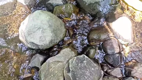 A small stream of water between the rocks of the river 19 Stock Footage 208255202