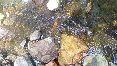 A small stream of water between the rocks of the river 22 库存影片 208255307