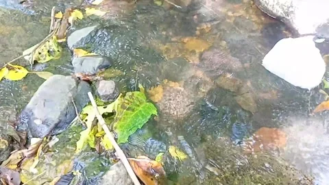 A small stream of water between the rocks of the river 27 Stock Footage 208264749