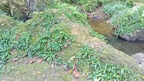 A small stream of water between the rocks of the river 28 Stock Footage 208264871