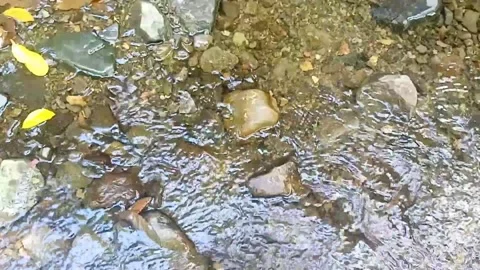 A small stream of water between the rocks of the river 31 Stock Footage 208267542