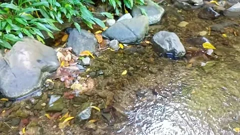 A small stream of water between the rocks of the river 32 Stock Footage 208267565