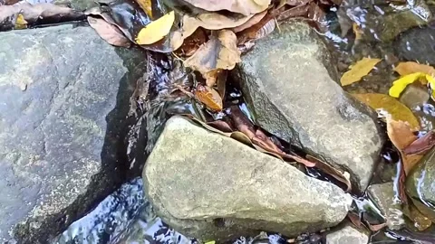 A small stream of water between the rocks of the river 34 Video stock 208267860