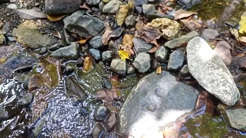 A small stream of water between the rocks of the river 39 Video stock 208269018