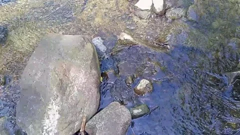 A small stream of water between the rocks of the river 40 Stock Footage 208274549