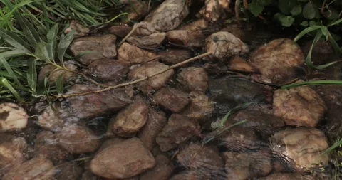 Small stream of water brook peacefully flowing on stones Video stock 306705650