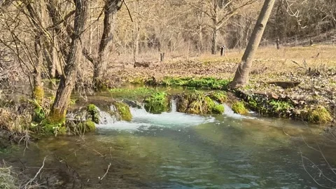 Small Stream Water Flow with Foam – Autumn Nature Scene Vídeo Stock 331278560